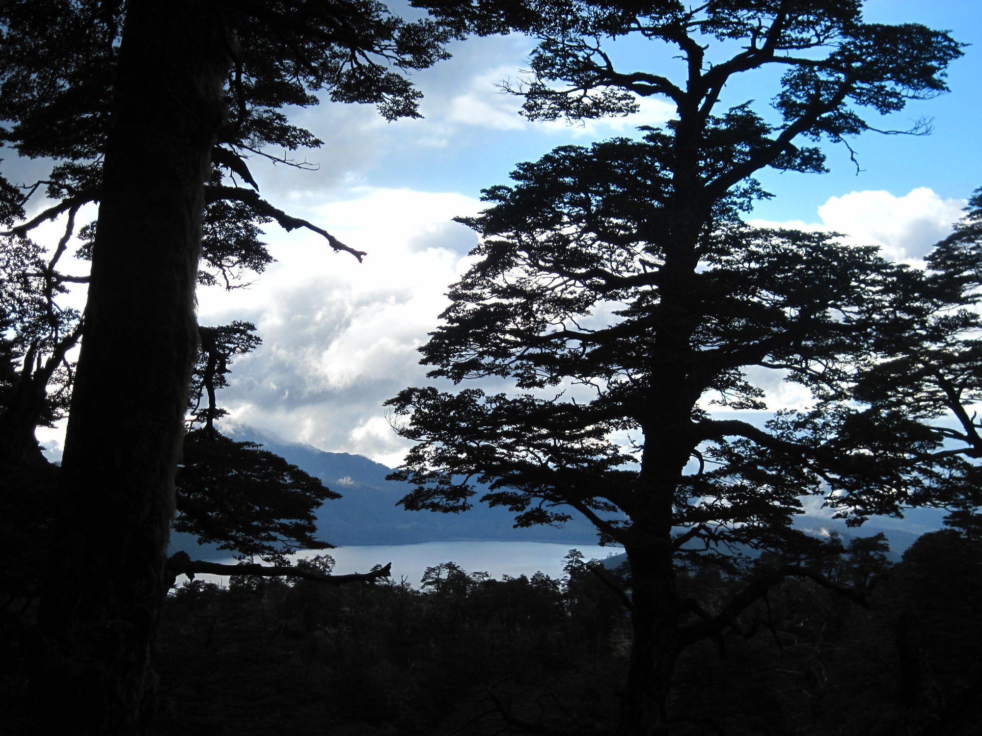 Embarcación cruzando el Lago Ranco